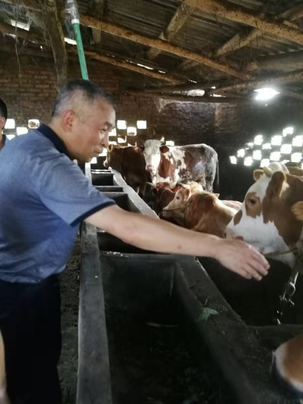 iNIemER6TW65ATnrPtpOjg.jpg undefined